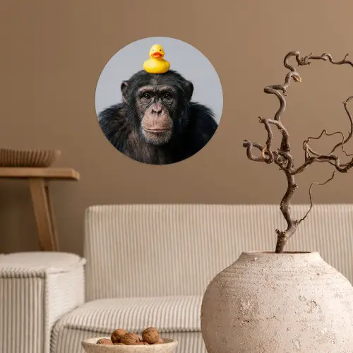 Chimpansee - Badeend - Grijs Wandcirkel behangsticker klein -sfeer1