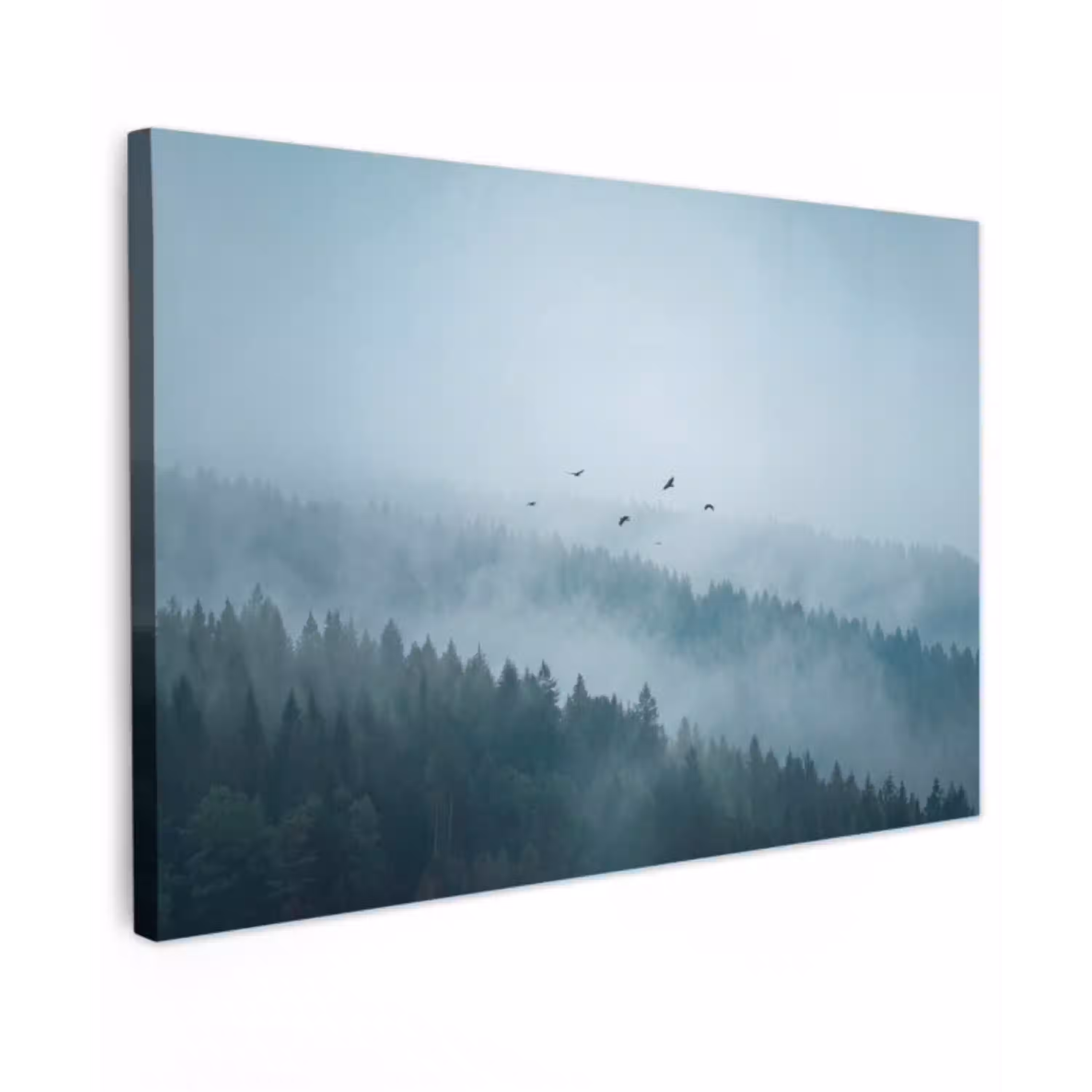Bos - Mist - Vogels - Natuur - Groen canvas 2cm klein -z3d