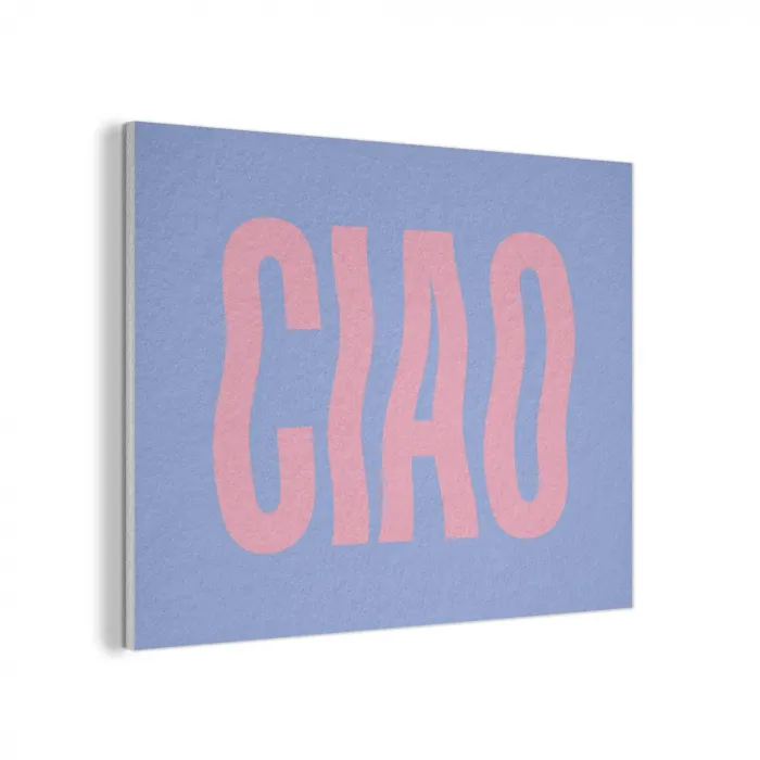 Ciao - Roze - Blauw - Golvend PET vilt klein -3d