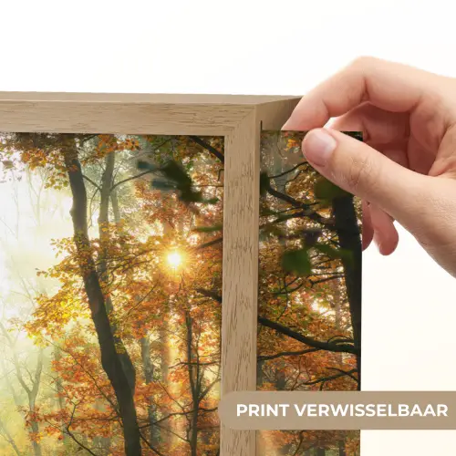 Bos - Herfst - Zon - Landschap - Natuur - Bomen - Bladeren Light Box met batterij (Wandlamp) middel -USP_websiteprintNL