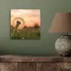 Paardenbloem - Zonsondergang - Veld aluminium wit klein -sfeer2