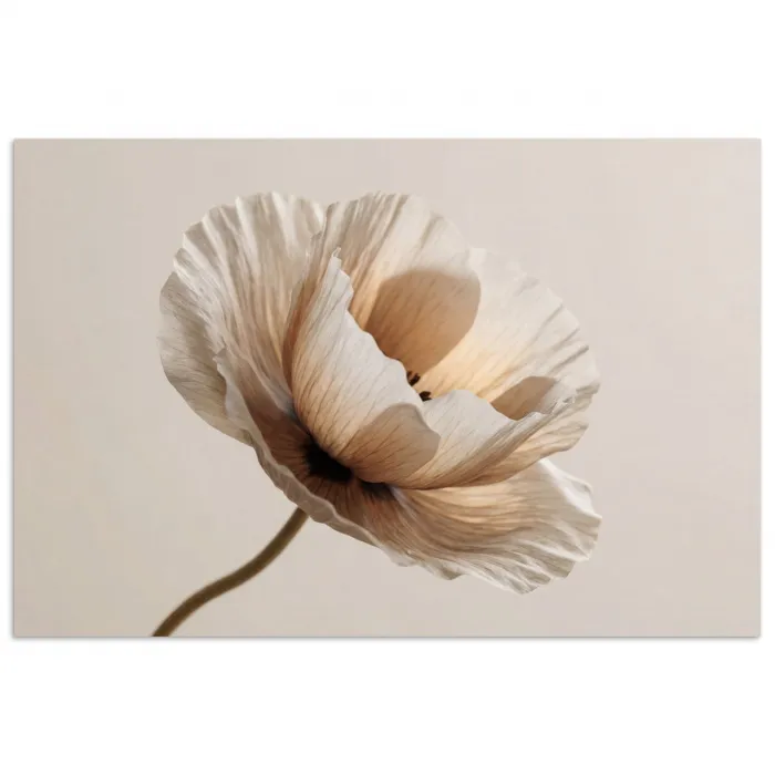 Bloem - Beige - Crème poster papier klein -3d