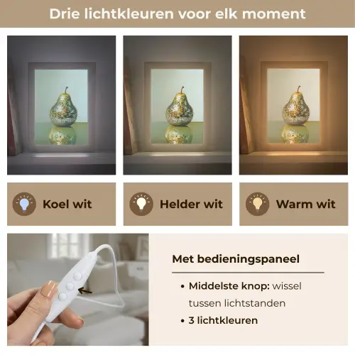 Fruit - Disco - Art - Glitter Light Box met kabel (Tafellamp) klein -USP_lichtkleurNL