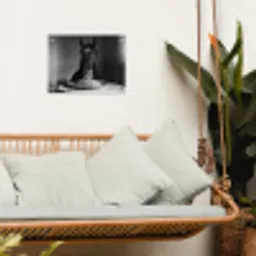 Paard - Bord - Pasta - Tafelkleed - Zwart Wit - Dieren tuinposter los doek klein -sfeer7