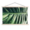 Palmblad - Tropisch - Natuur - Jungle textielposter latten blank klein -3d