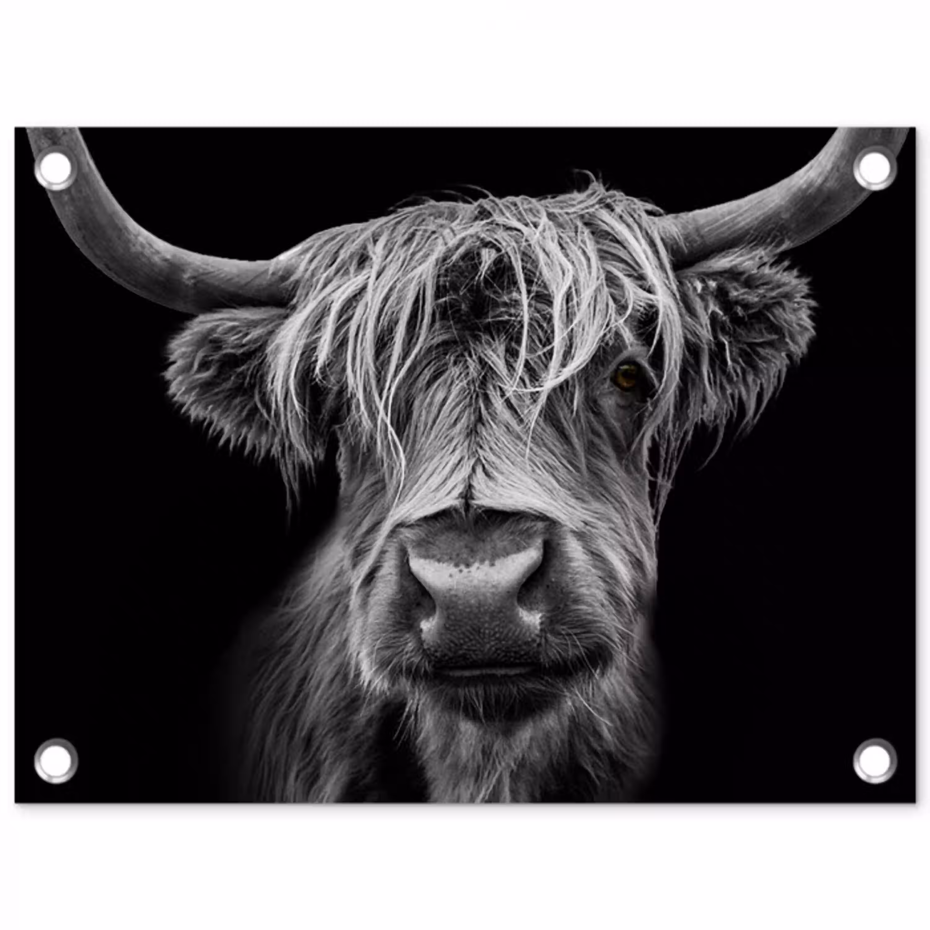Hooglander in Zwart-Wit tuinposter los doek klein -3d