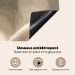 Hazestaartgras - Wit - Zonlicht Inductie beschermer vinyl 3mm middel -usfeer4_FR