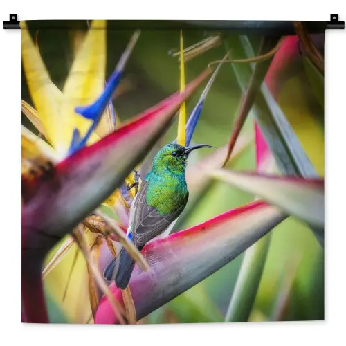 Kleurrijke vogel tussen allemaal kleurrijke platen Wandkleed katoen klein -zz3d