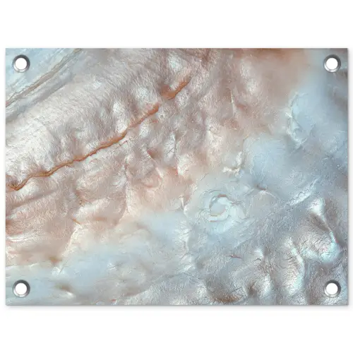 Schelpen - Abstract - Natuur tuinposter los doek klein -3d