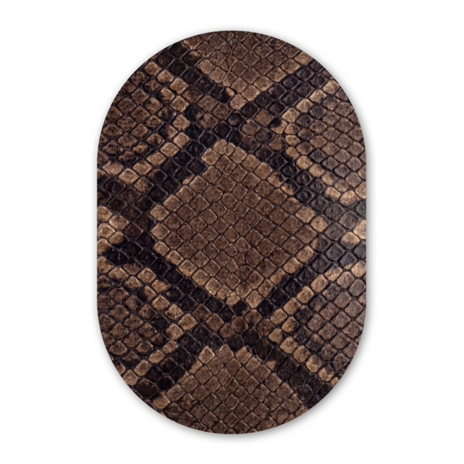 Python - Schubben - Brons Wandcirkel Ovaal Forex klein -3d