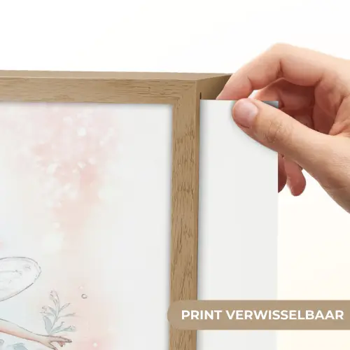 Ballerina - Fee - Roze Light Box met batterij (Wandlamp kind) middel -USP_websiteprintNL