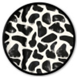 Dierenpatroon - Vlekken - Zwart - Wit Fotolijst rond zonder passe partout klein 856 -3d