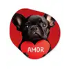 Amor - Hond  - Hartje - Rood Wandcirkel Organisch Forex 3mm klein -3d