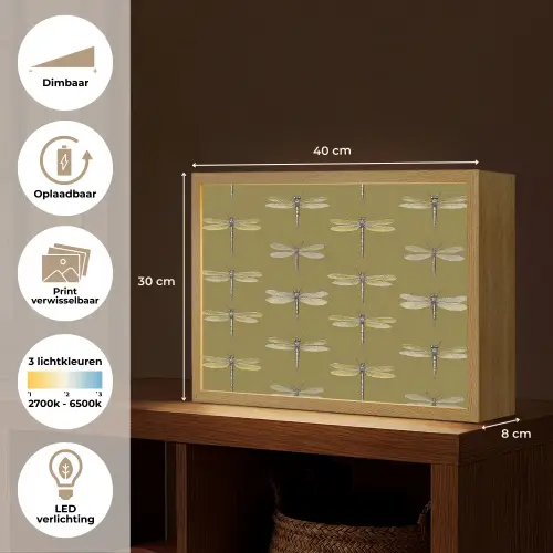 Libellen - Patroon - Groen Light Box met batterij (Wandlamp) middel 907 -USP_websiteoverzichtNL