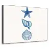 Zeester - Schelpen - Blauw Textielframe zwart klein -3d