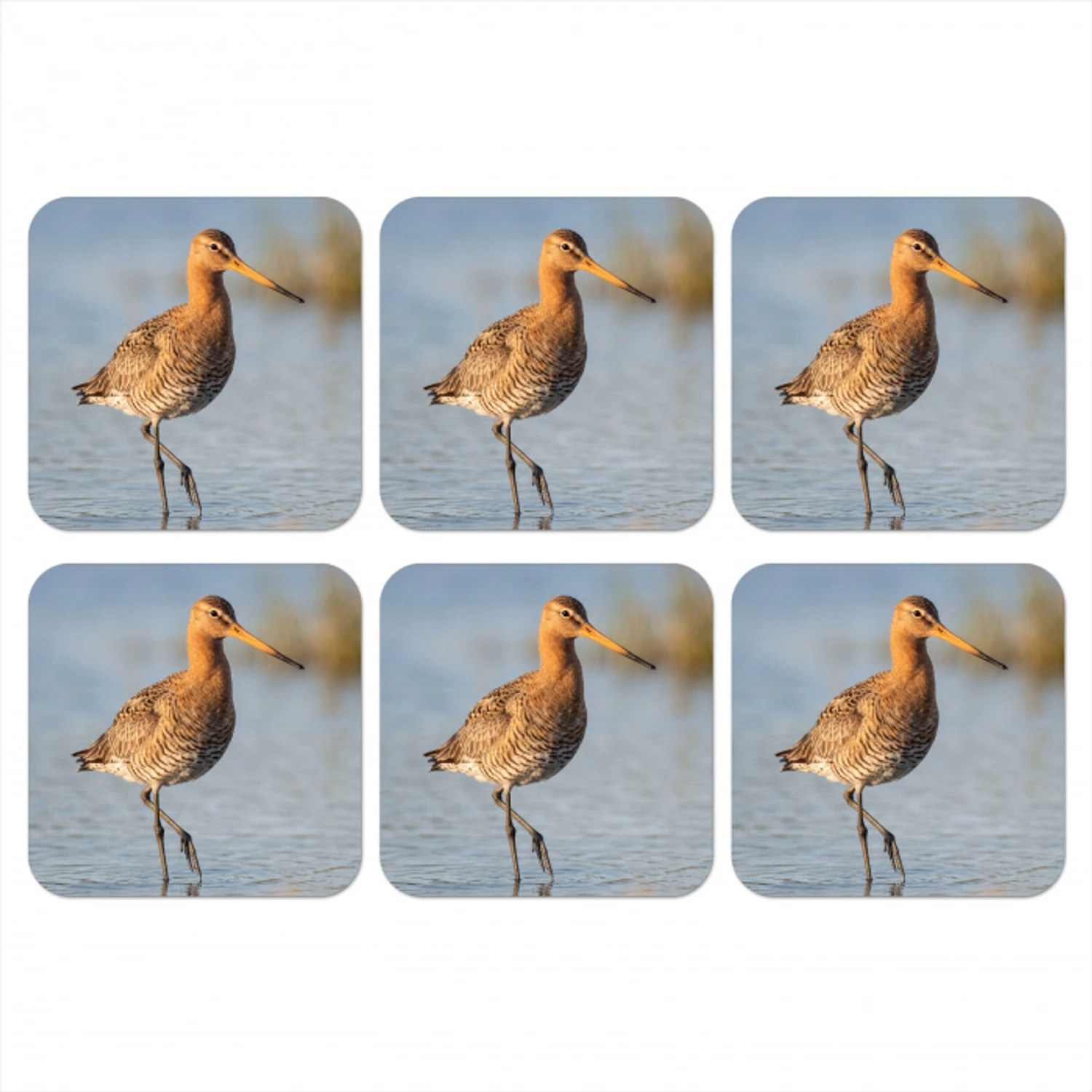 Vogel - Steltloper - Water - Natuur onderzetter kurk middel -3d