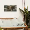 Afrikaanse olifant tegen de donkere wolken tuinposter los doek klein -sfeer7