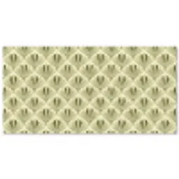 Klassiek - Waaier - Groen Balkonbeschermer Duitsland klein 596 -zz_3d