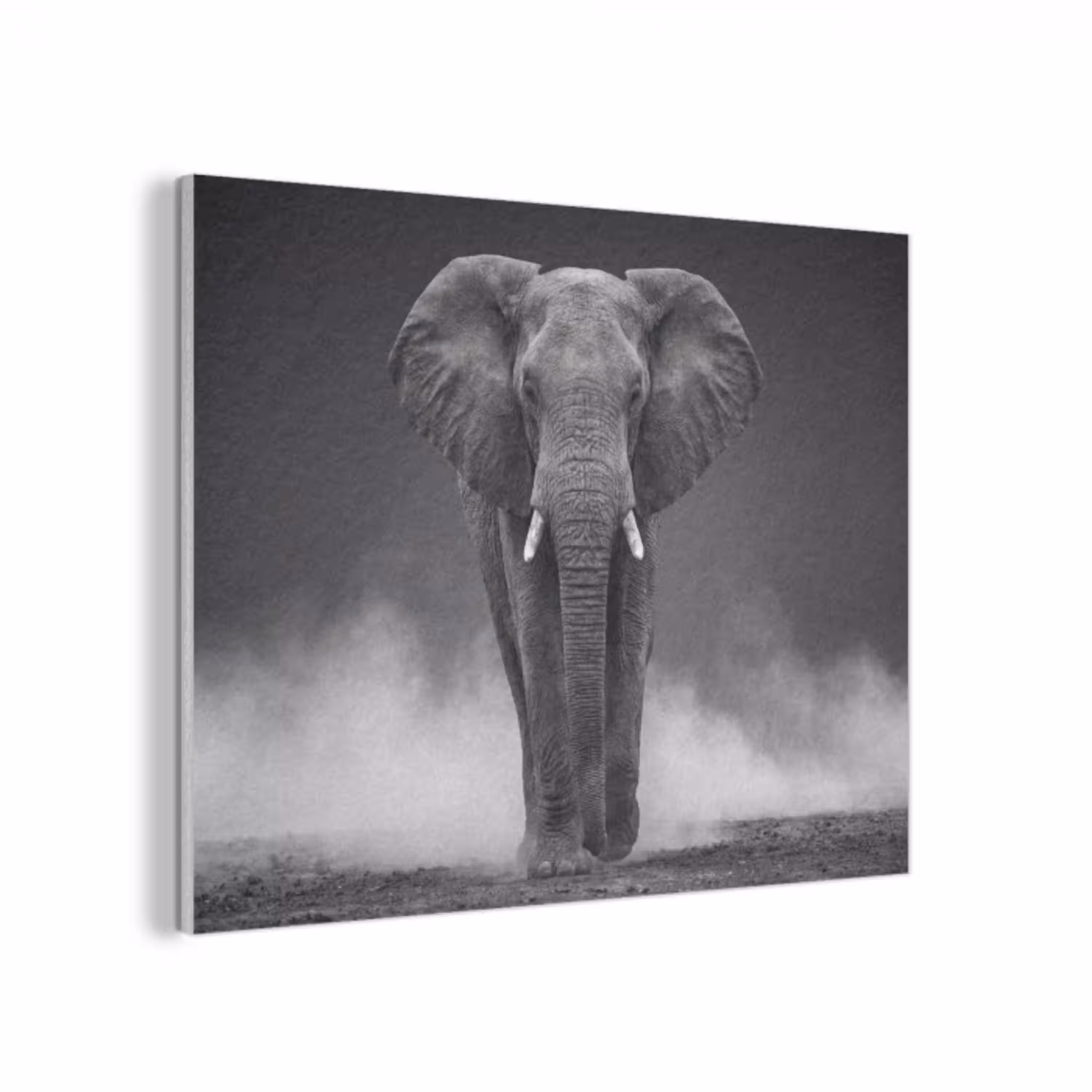 Olifant - Zwart - Wit - Rook PET vilt klein -3d