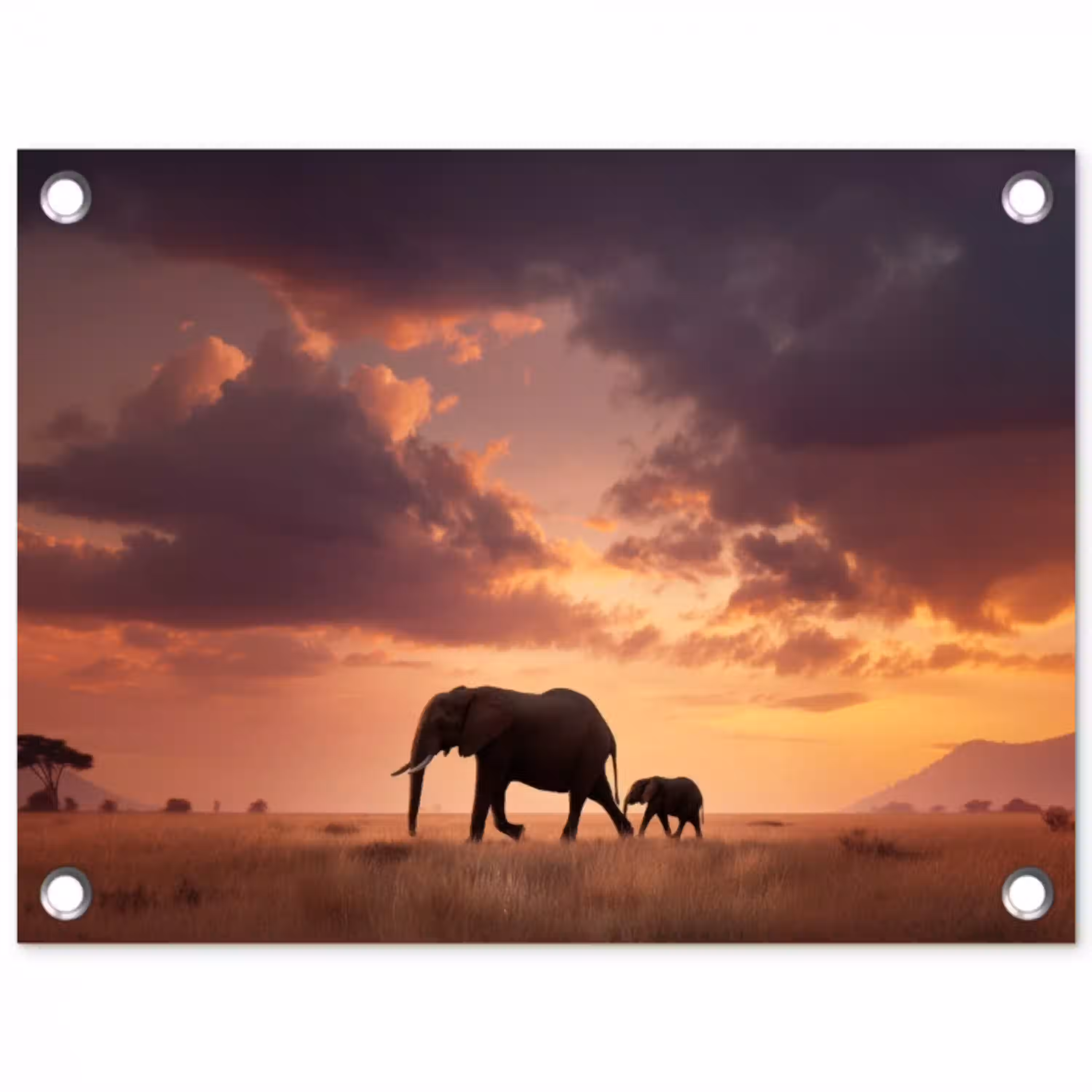 Olifanten - Grasland - Zonsondergang tuinposter los doek klein -3d