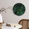 Monstera -  Inductie beschermer - Bladeren - Tropical - Afdekplaat voor kookplaat Wandcirkel plexiglas klein -sfeer4