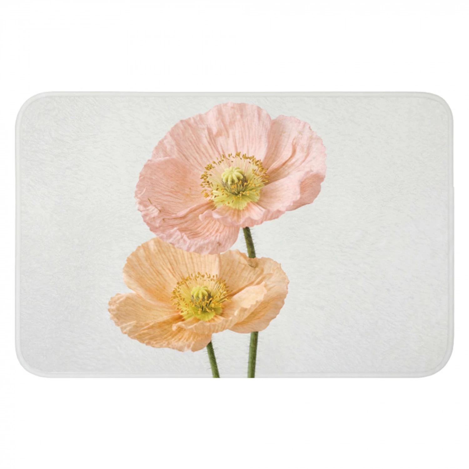 Papavers - Botanisch - Roze Badmat klein -3d