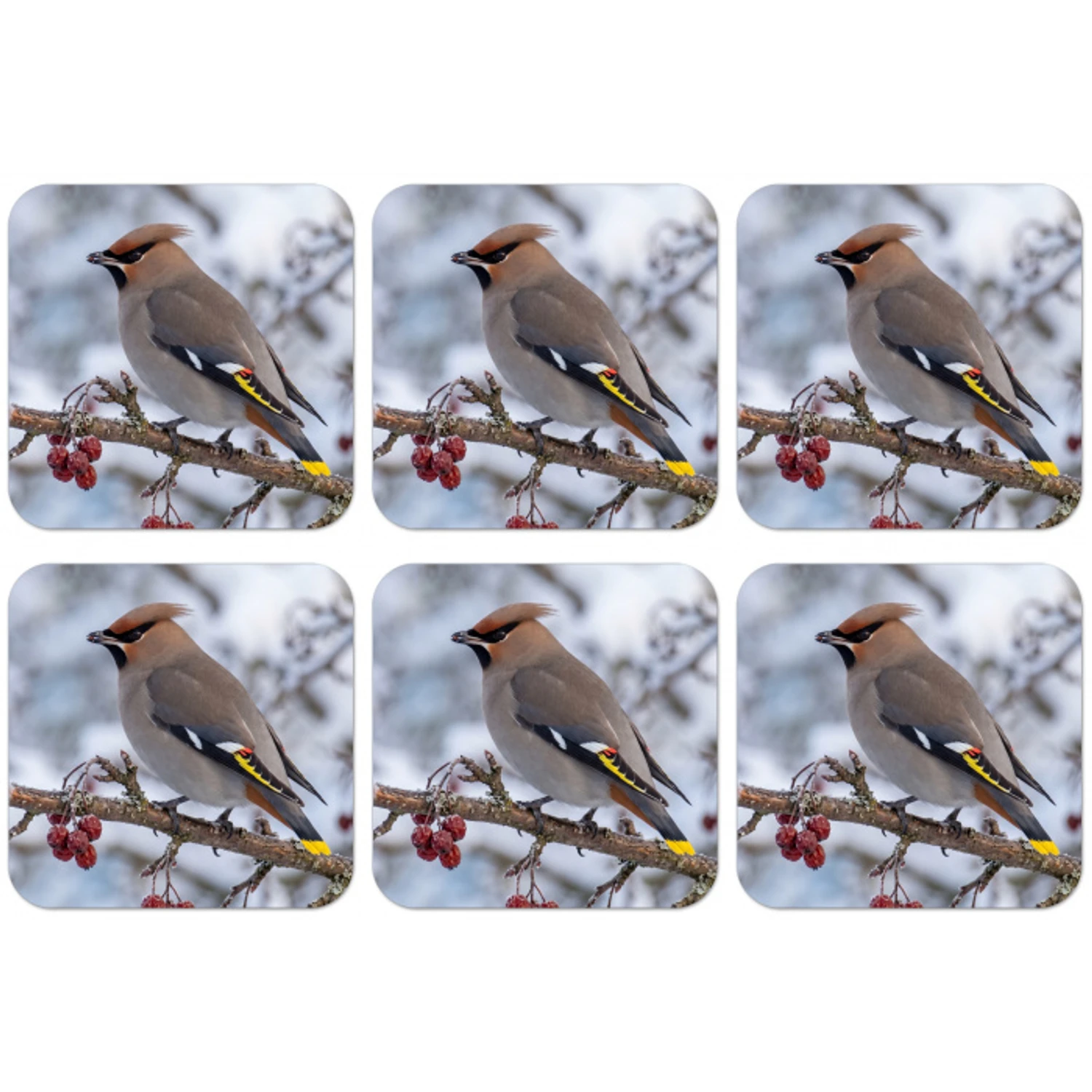Pestvogel - Bessen - Winter - Natuur onderzetter kurk middel -zkaufland3dotto