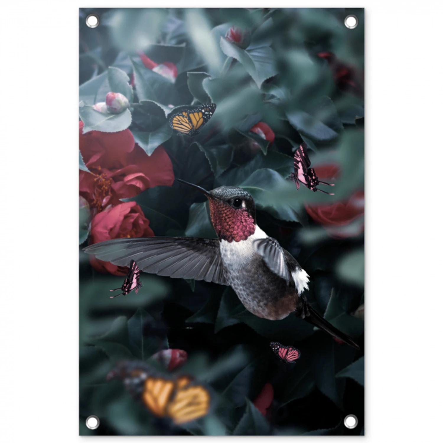 Kolibrie - Roze - Vlinders tuinposter los doek klein -3d