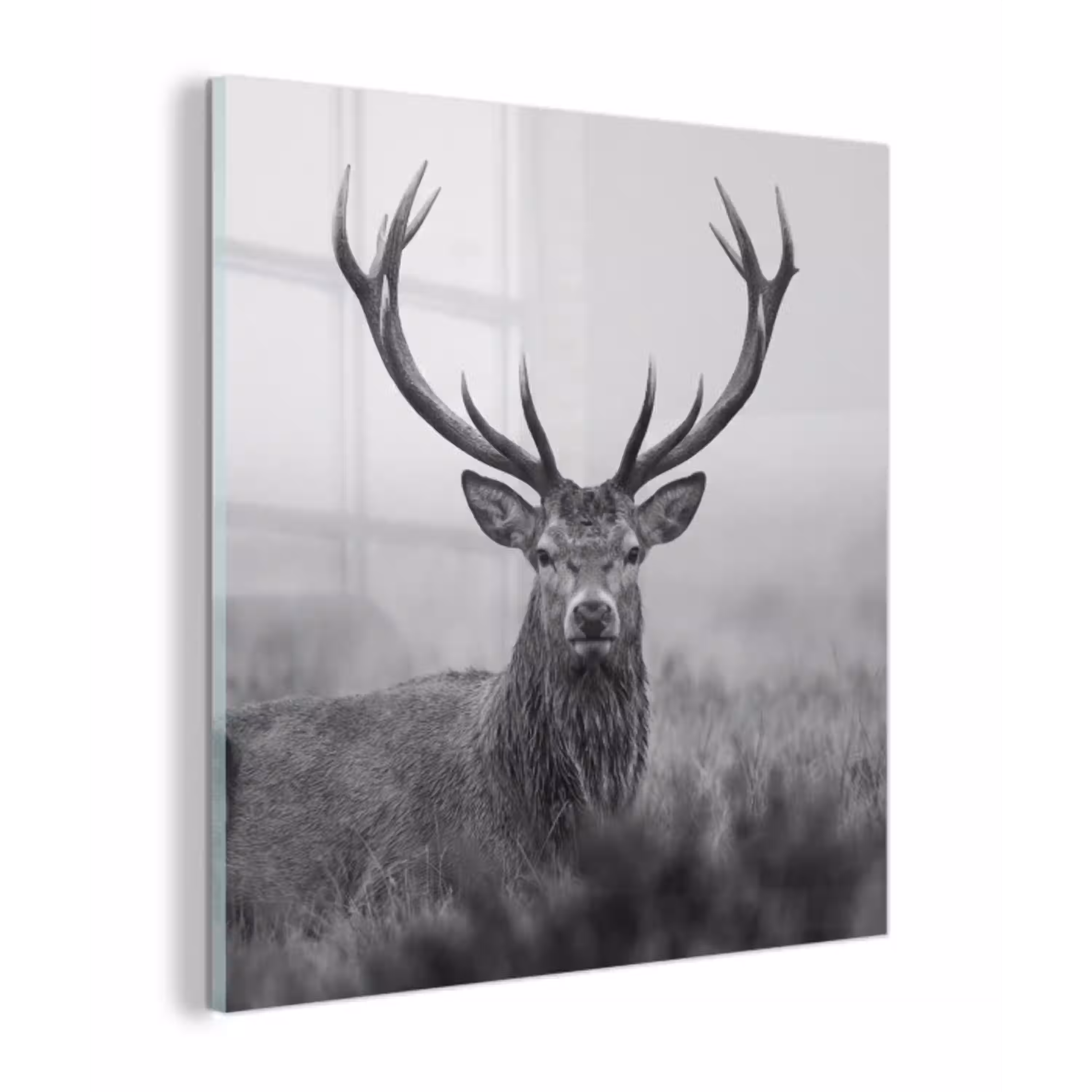 Hert - Mistig - Zwart - Wit plexiglas 5mm klein -z3d