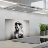 Golden retriever - Hond - Zonnebril - Gkas keuken achterwand spatscherm klein -3d_schuin