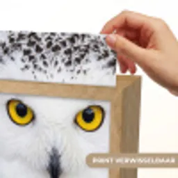Sneeuwuil - Portret - Geel Light Box met kabel (Kinderlampje) klein -USP_websiteprintNL