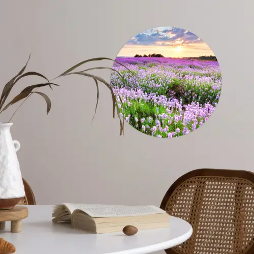 Lavendel - Bloemen - Zonsondergang - Paars - Weide Wandcirkel behangsticker klein -sfeer3