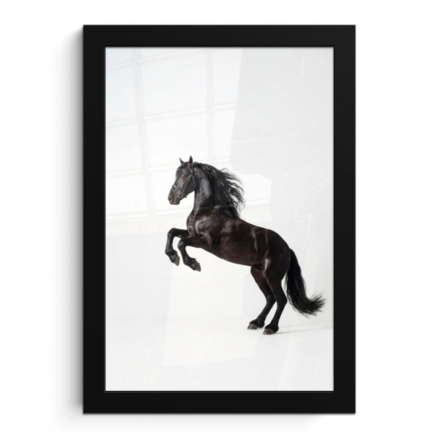 Zwart - Paard - Portret fotolijst zwart zonder passe partout klein -3d