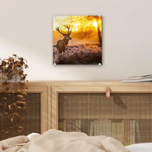 Hert - Dieren - Zonsondergang - Winter - Heide - Natuur plexiglas 5mm klein -sfeer4