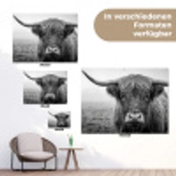 Schotse hooglander - Zwart - Wit - Gras tuinposter los doek klein -Xsfeer9_DE