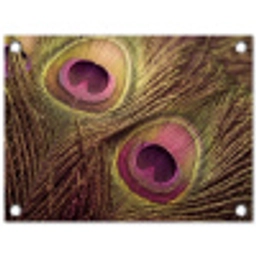 Pauw - Veren - Paars - Groen tuinposter los doek klein -3d