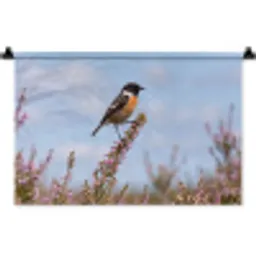 Roodborsttapuit - Heide - Paars - Natuur - Sfeervol Wandkleed katoen klein -zz3d