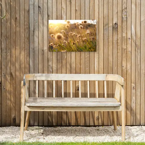 Planten - Natuur - Bloemen - Zon - Horizon Tuinposter op houten frame 2 cm dik klein -sfeer4