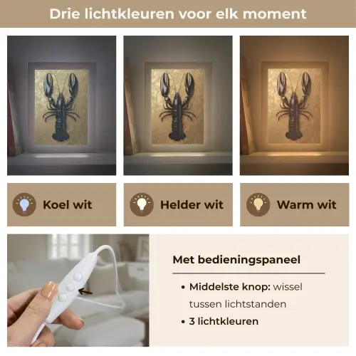 Kreeft - Zwart - Goud - Luxe Light Box met kabel (Tafellamp) klein -USP_lichtkleurNL