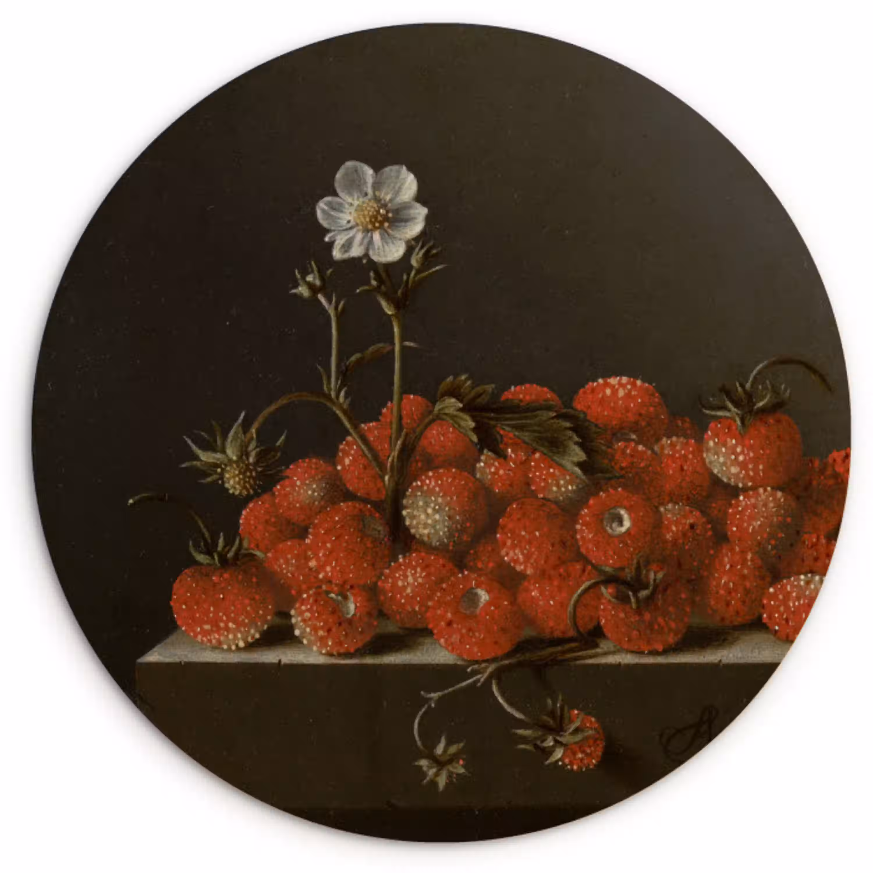 Stilleven met bosaardbeien - Schilderij van Adriaen Coorte Wandcirkel kunststof plaat 5mm dik klein -3d