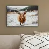 Schotse Hooglander - Landschap - Sneeuw - Bergen - Winter canvas 2cm klein -sfeer3