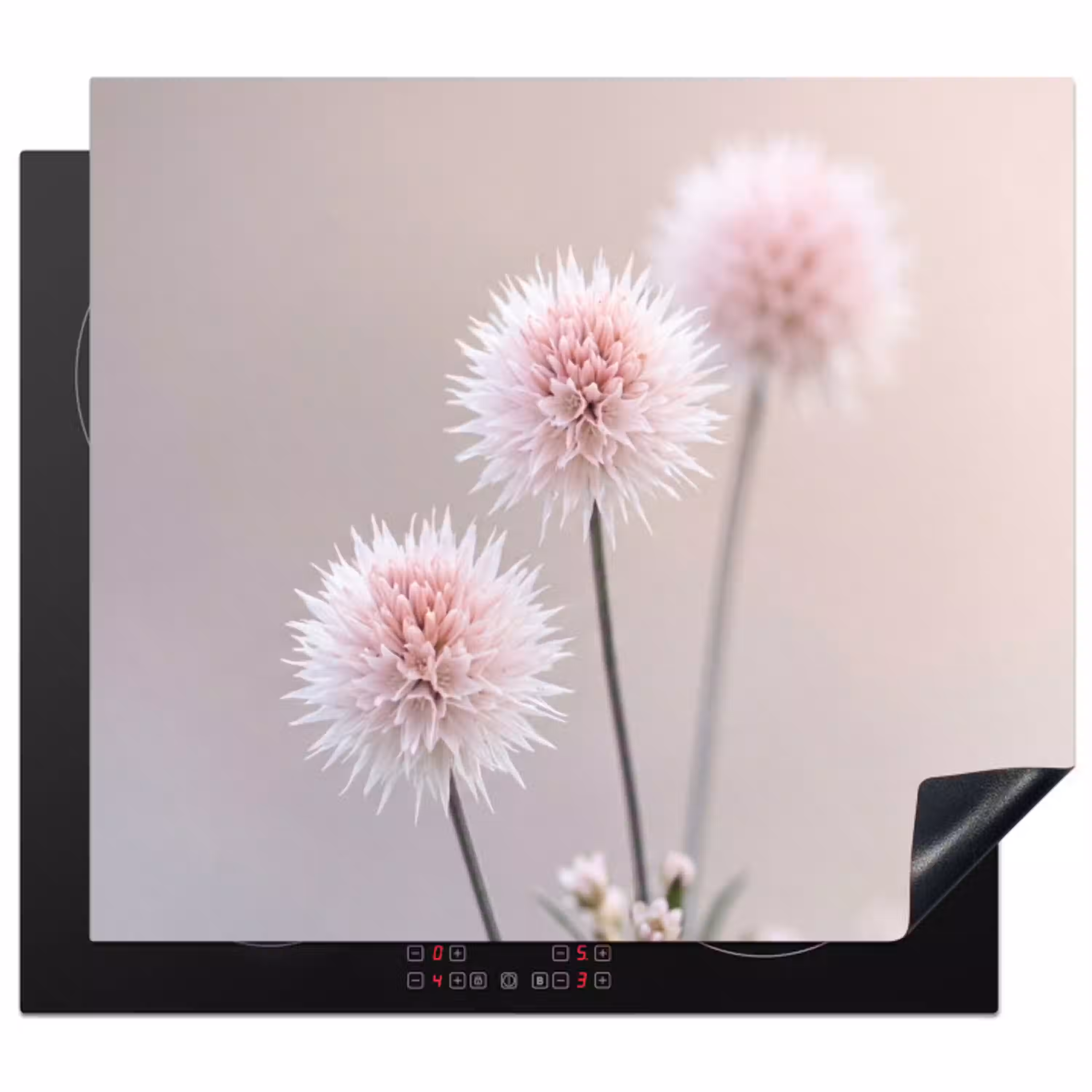 Bloemen - Bollen - Roze Inductie beschermer vinyl 3mm middel -3d