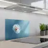 Paardenbloem - Wind - Blauw keuken achterwand spatscherm klein -3d_schuin