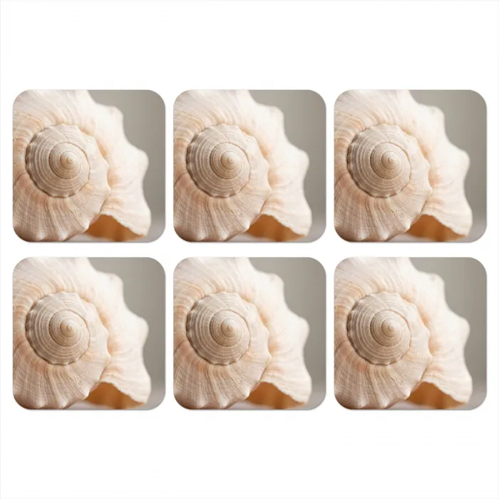 Schelp - Detail - Beige onderzetter kurk middel -3d