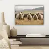Schapen - Weidenlandschap - Heuvels canvas 2cm klein -sfeer6