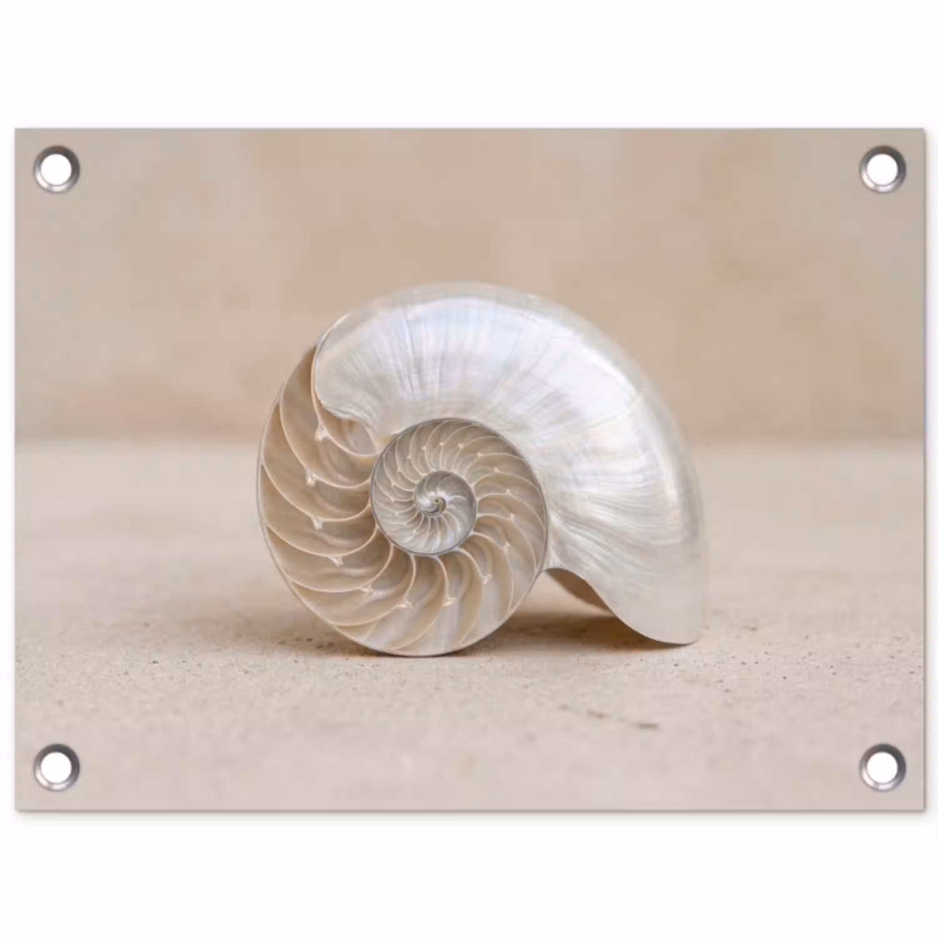 Schelp - Spiraal - Beige tuinposter los doek klein -3d