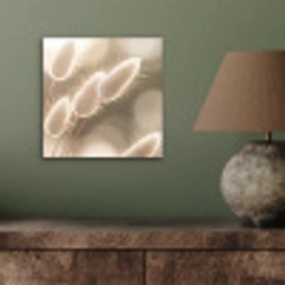 Hazestaartgras - Wit - Zonlicht aluminium wit klein -sfeer2