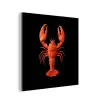 Kreeft - Papier - Origami papier - Rood aluminium wit klein -3d