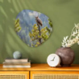 Uil - Oehoe - Bomen - Natuur Wandcirkel Organisch Forex 3mm klein -sfeer2
