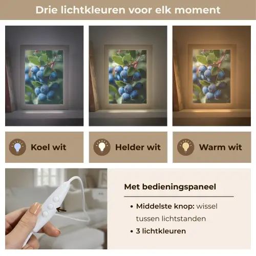 Blauwe bessen - Dauwdruppels - Natuurlijk licht Light Box met kabel (Tafellamp) klein -USP_lichtkleurNL